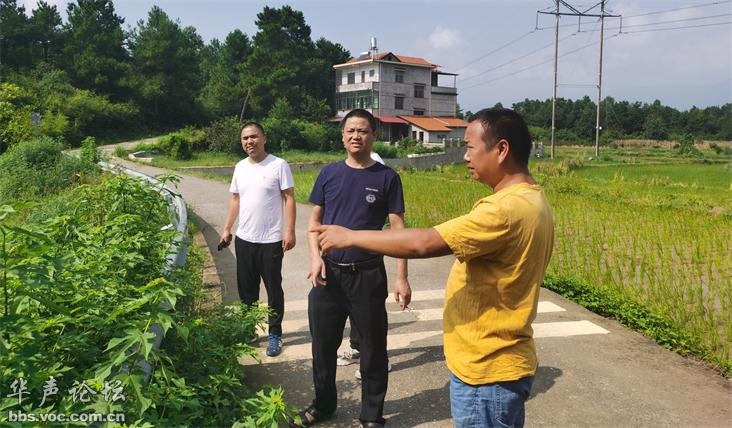 湾桥镇领导团队引领地方发展新篇章