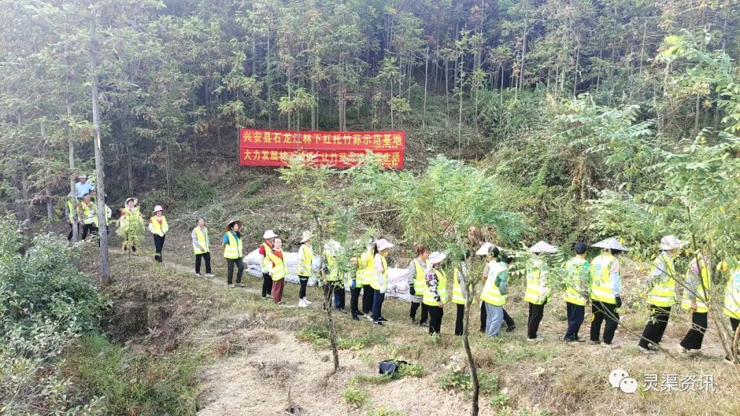 同太乡新项目引领乡村振兴新动力