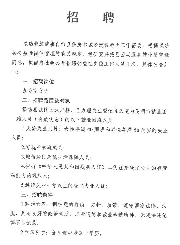 响浪村委会最新招聘信息全面解析