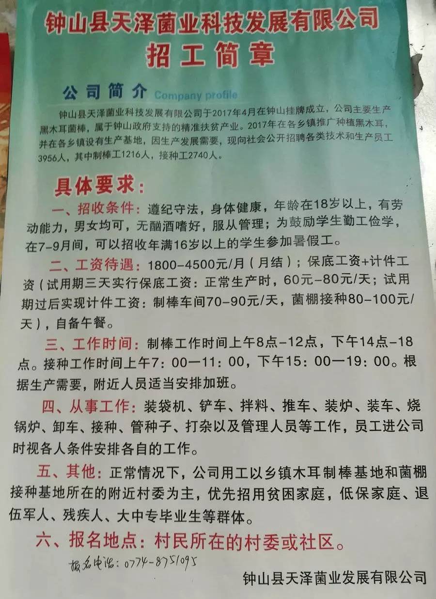 三井乡最新招聘信息全面解析