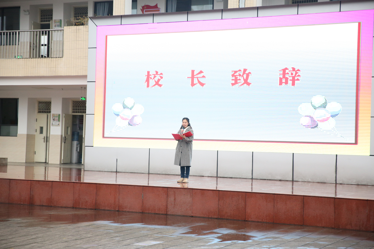 雨城区小学人事任命最新动态