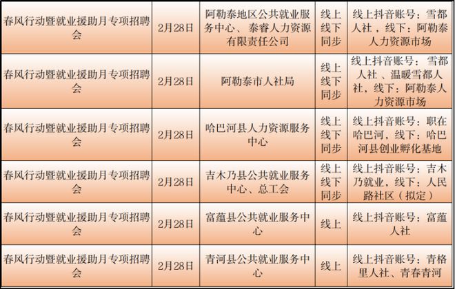 陇南市统计局最新招聘启事