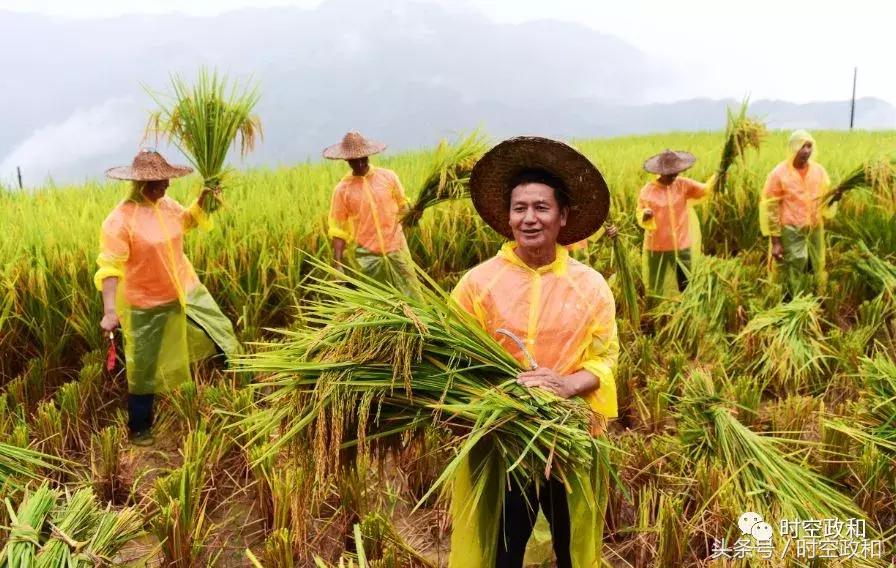 铁山区农业农村局规划新蓝图，推动农业现代化，重塑乡村面貌新篇章