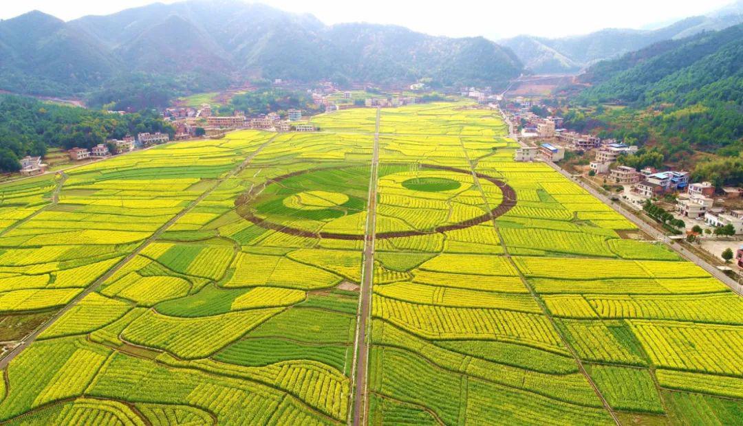 库宗乡新项目，地区发展的强大推动力