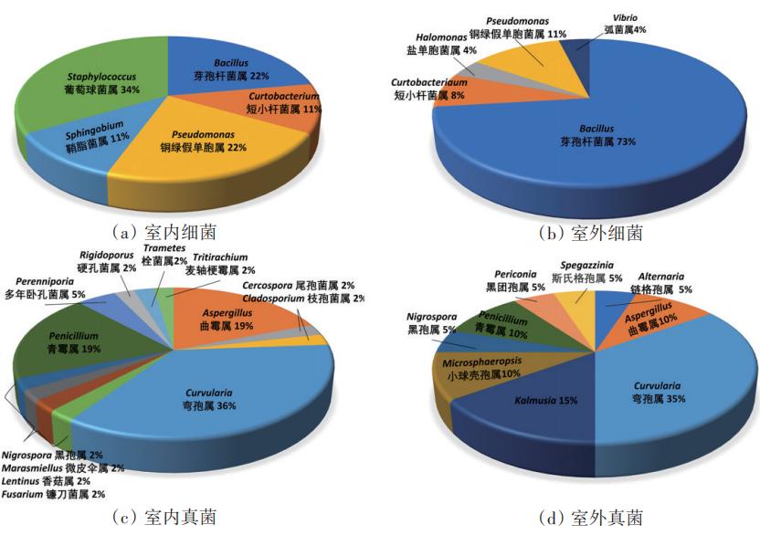 文昌市科技局最新项目进展及其深远影响