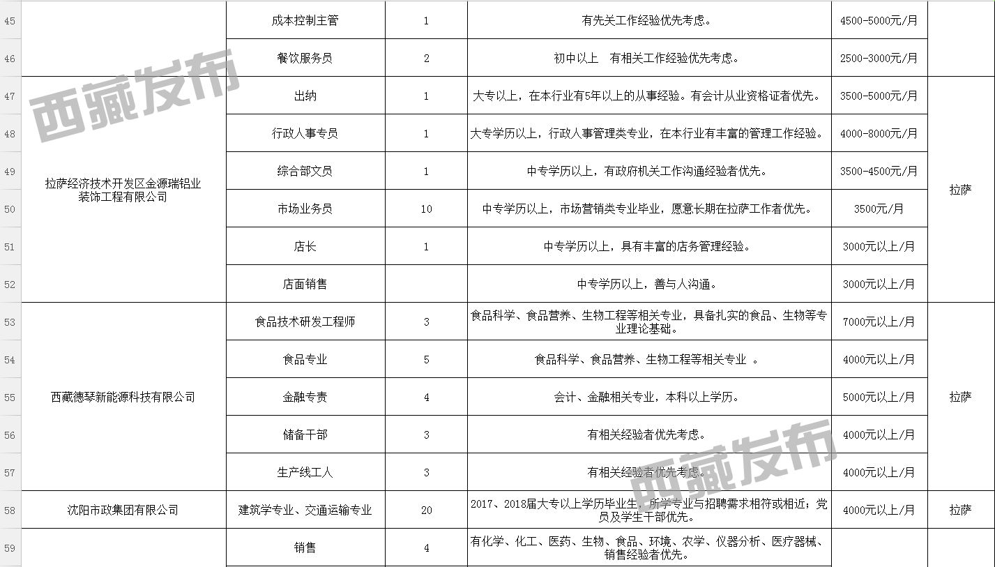 嘎娄公司最新招聘信息全面解析