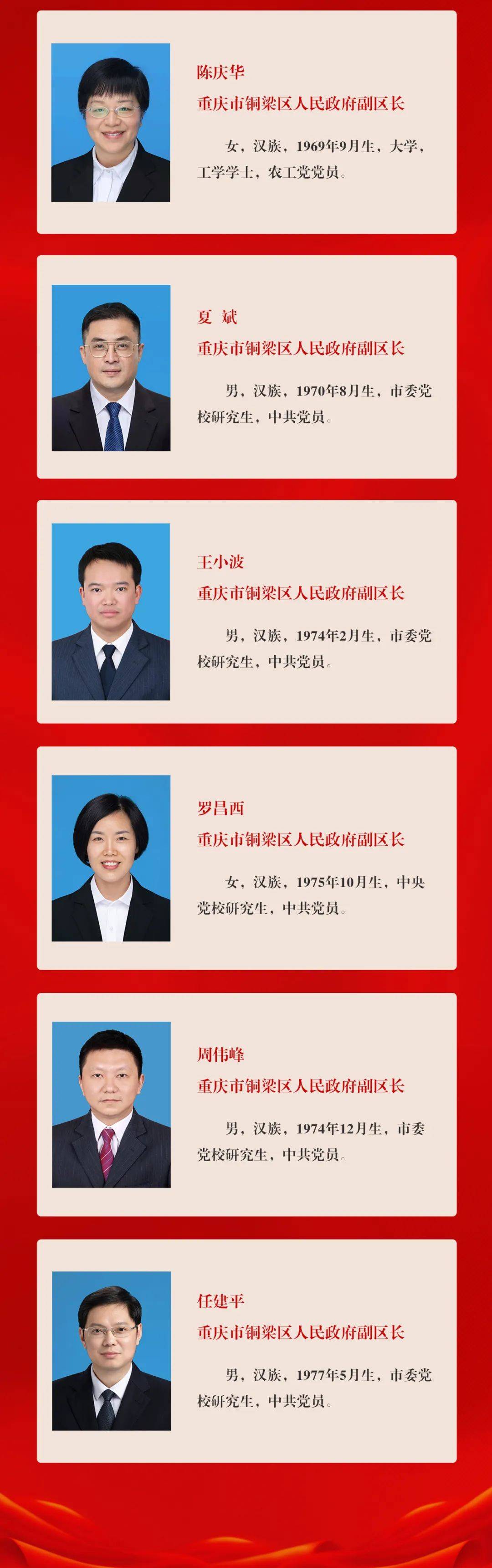 铜梁县人民政府办公室领导团队及职能概览