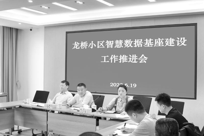 小龙桥社区发展与创新引领新篇章，最新新闻报道汇总