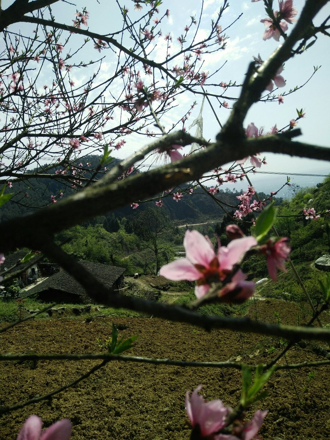 葛兰镇最新天气预报