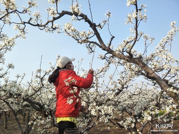 棘针寨乡最新新闻深度解读