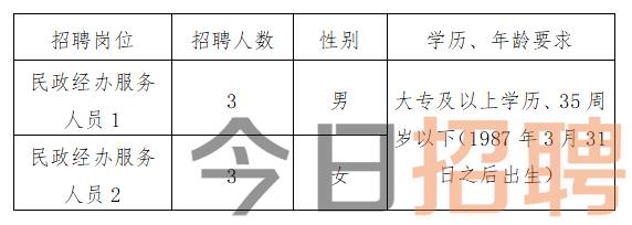 宁洱哈尼族彝族自治县民政局最新招聘信息概述