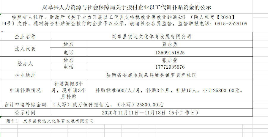 镇坪县人力资源和社会保障局最新项目，推动县域经济高质量发展