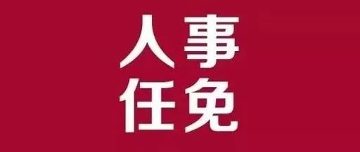 长宁区审计局最新人事任命，塑造未来审计蓝图