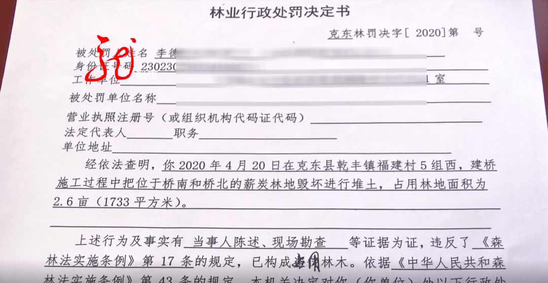 桥坡村委会人事任命完成，村级治理迈向新台阶