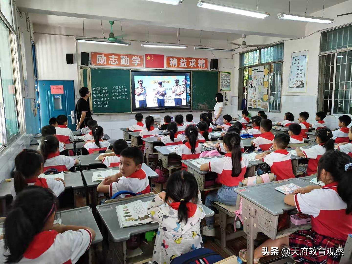 仁寿县小学未来教育蓝图，最新发展规划揭秘