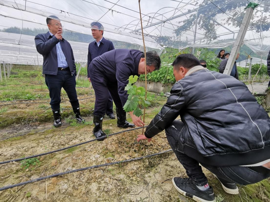 苏仙区自然资源和规划局最新领导团队概述