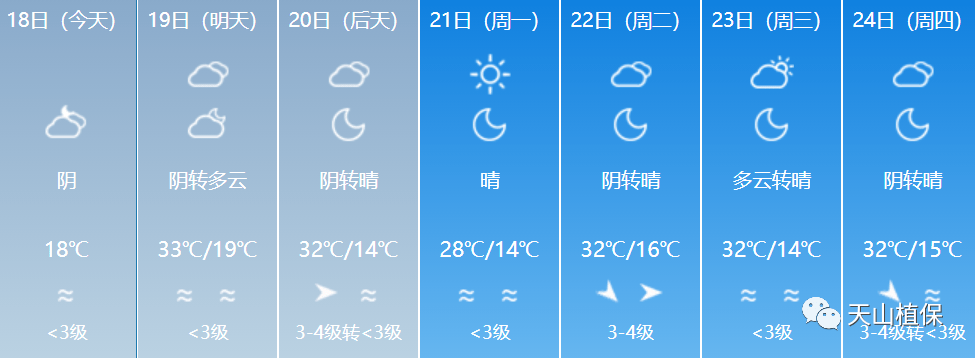 罗布镇最新天气预报概览