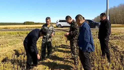 海林农场推动农业现代化展现新风貌，最新新闻报道