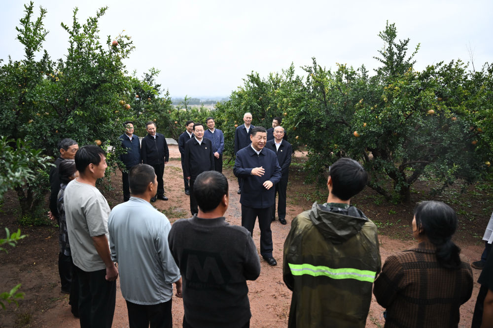 庞坪村民委员会重塑乡村交通网络，助力乡村振兴发展最新报道