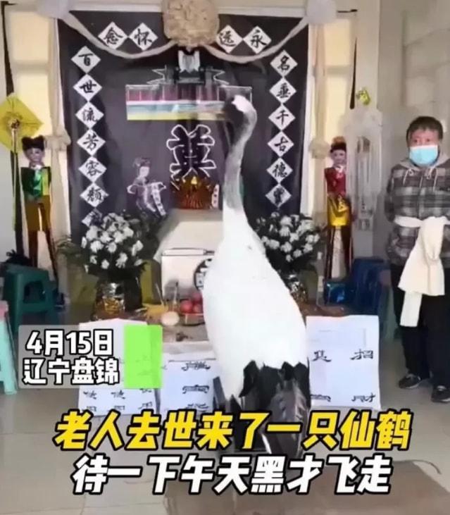 灵台县殡葬事业单位发展规划展望