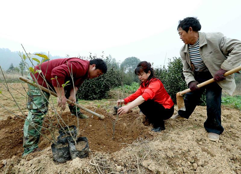 海城区数据与政务服务局领导团队最新概述