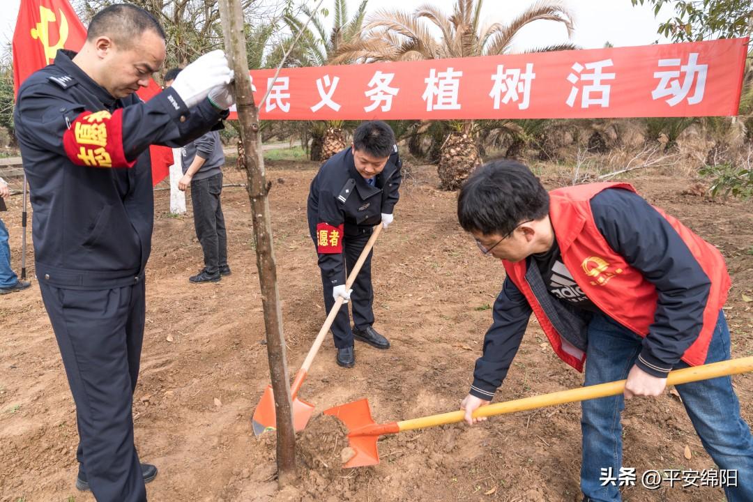 绵阳市公安局现代化警务体系发展规划，推动城市安全发展的战略举措