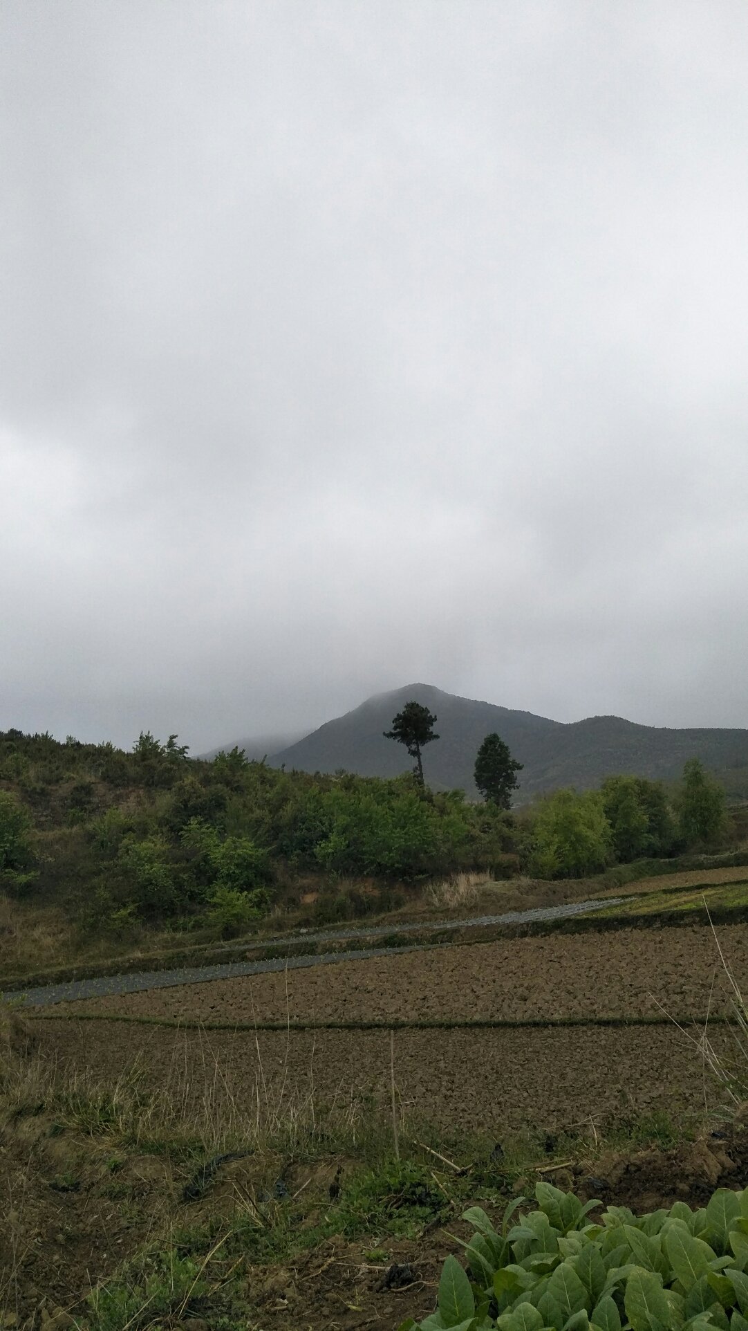 孙家河村民委员会天气预报更新通知